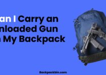 Can I carry an unloaded gun in my backpack || Backpackbin.com