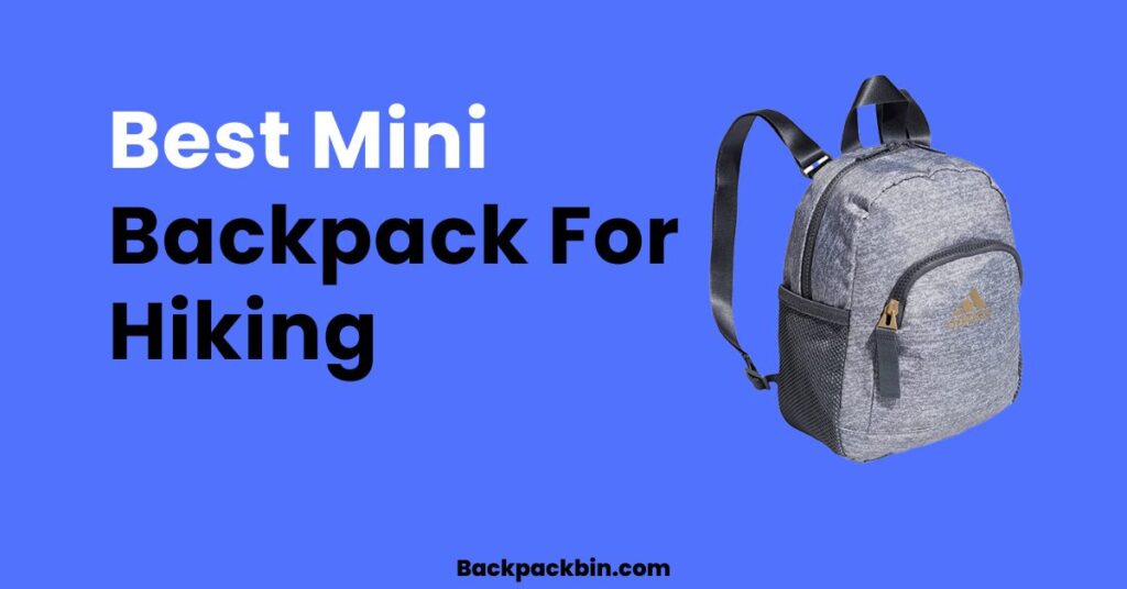 Best Mini Backpack For Hiking || Headsetbin.com