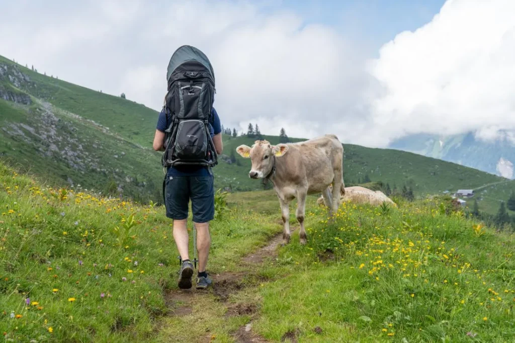 How to a wash Swiss Gear Backpack || Backpackbin.com