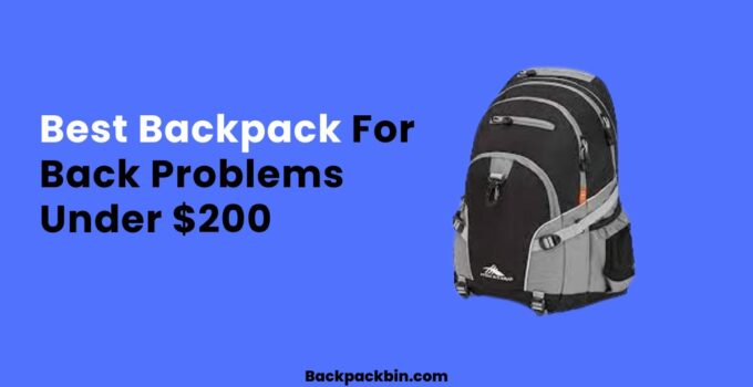 Best Backpack For Back Problems Under $200 || Backpackbin.com