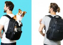 benefits of using a backpack pet carrier vs traditional carrier || Backpackbin.com