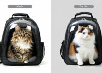 mesh vs transparent bubble carriers: which is better? || Backpackbin.com