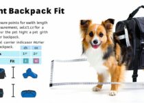 how to measure your pet for the right backpack fit|| Backpackbin.com