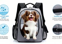 tips for ventilation and safety in pet carrier backpacks || Backpackbin.com