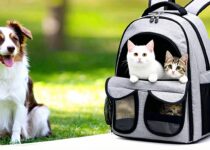 backpack carrier options for multiple pets (dual compartments) || Backpackbin.com