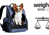 what is the weight limit for a pet carrier backpack? || Backpackbin.com