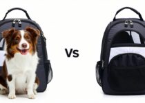 choosing between soft‑sided vs hard‑sided backpack carriers || Backpackbin.com