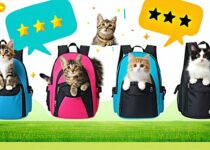 what pets owners say: real reviews of backpack carriers (round‑up) || Backpackbin.com