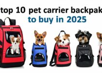 top 10 pet carrier backpacks to buy in 2025 || Backpackbin.com