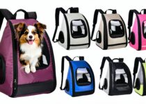 best airline‑approved backpack carriers for travel || Backpackbin.com
