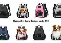 budget pet carrier backpacks under $50 that work well || Backpackbin.com