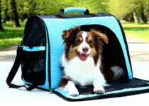 expandable pet carrier backpacks for larger pets || Backpackbin.com