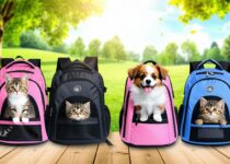lightweight travel pet backpack carriers you can buy now || Backpackbin.com